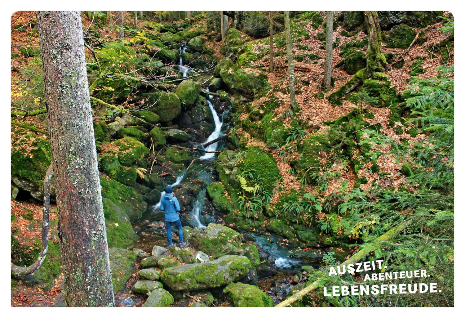 Bild: 9783770180899 | 52 kleine &amp; große Eskapaden im Bayerischen Wald | Ab nach draußen!