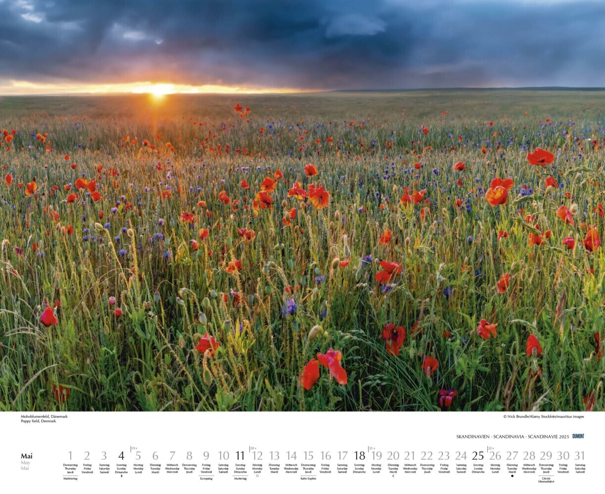 Bild: 4250809653532 | DUMONT - Schönheit des Nordens 2025 Wandkalender, 52x42,5cm,...