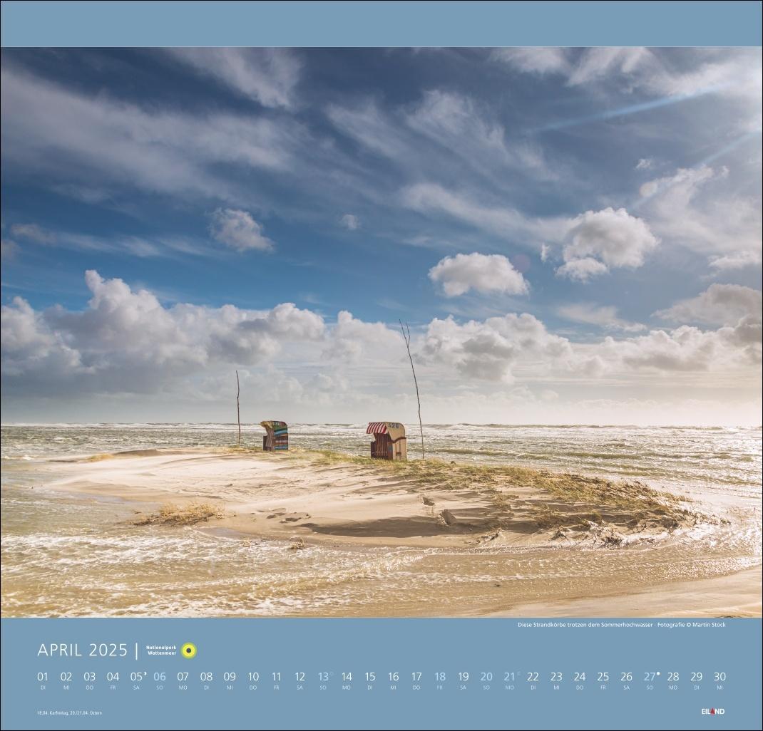 Bild: 9783964023124 | Nationalpark Wattenmeer Edition Kalender 2025 - Martin Stock | 13 S.