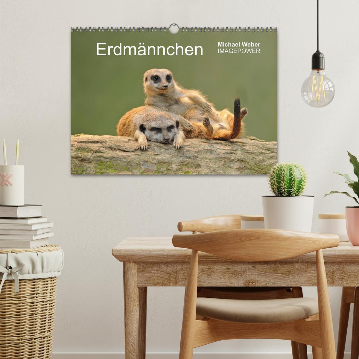 Bild: 9783435835799 | Erdmännchen - Tierkinder (Wandkalender 2025 DIN A3 quer), CALVENDO...