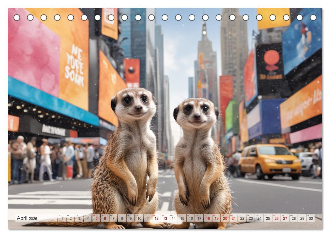 Bild: 9783383797972 | Erdmännchen in New York City (Tischkalender 2025 DIN A5 quer),...