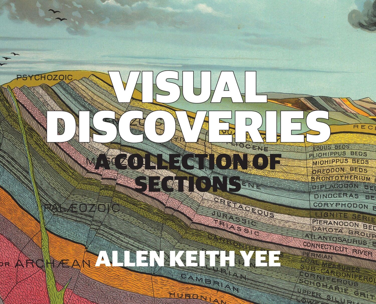 Cover: 9781943532964 | Visual Discoveries | A Collection of Sections | Allen Keith Yee | Buch