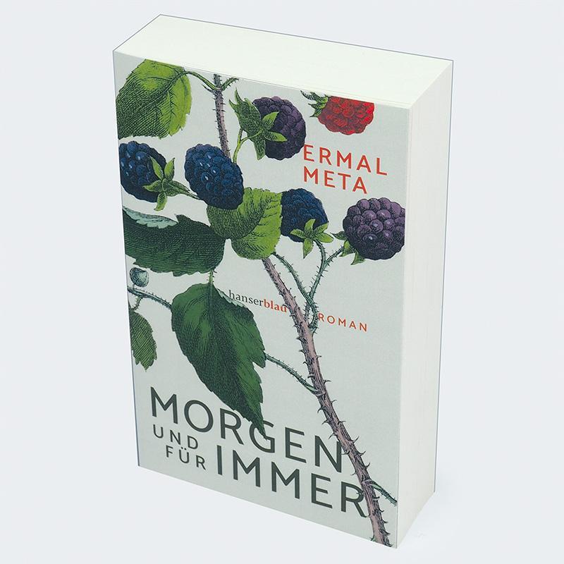 Bild: 9783446279810 | Morgen und für immer | Roman | Ermal Meta | Taschenbuch | 528 S.