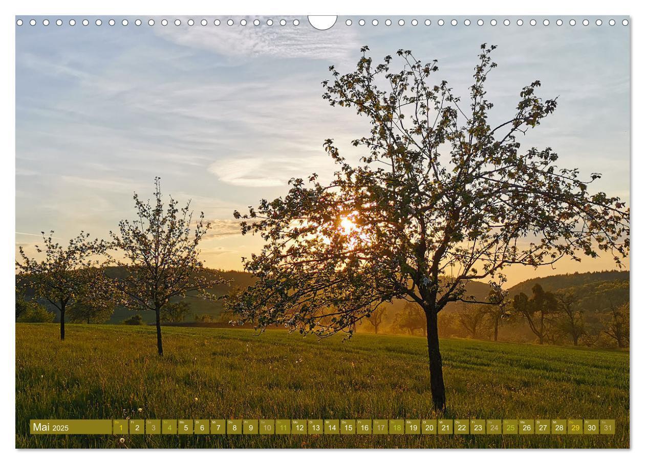 Bild: 9783435062485 | Apfelbaum und Streuobstwiesen (Wandkalender 2025 DIN A3 quer),...