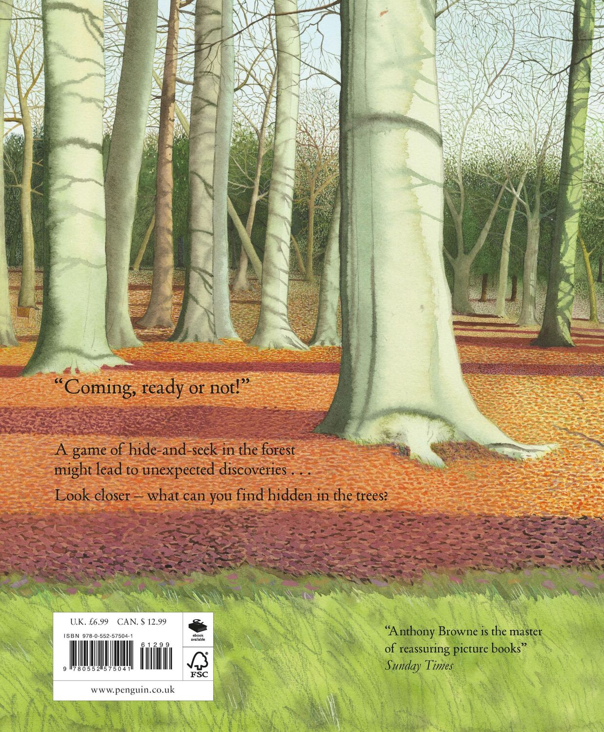 Rückseite: 9780552575041 | Hide and Seek | Anthony Browne | Taschenbuch | Englisch | 2018