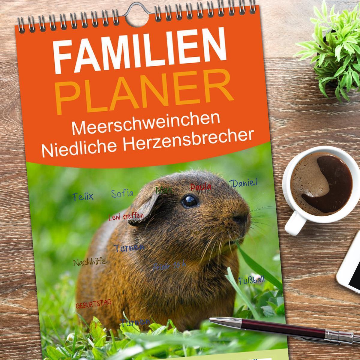 Bild: 9783457111666 | Familienplaner 2025 - Meerschweinchen Niedliche Herzensbrecher mit...