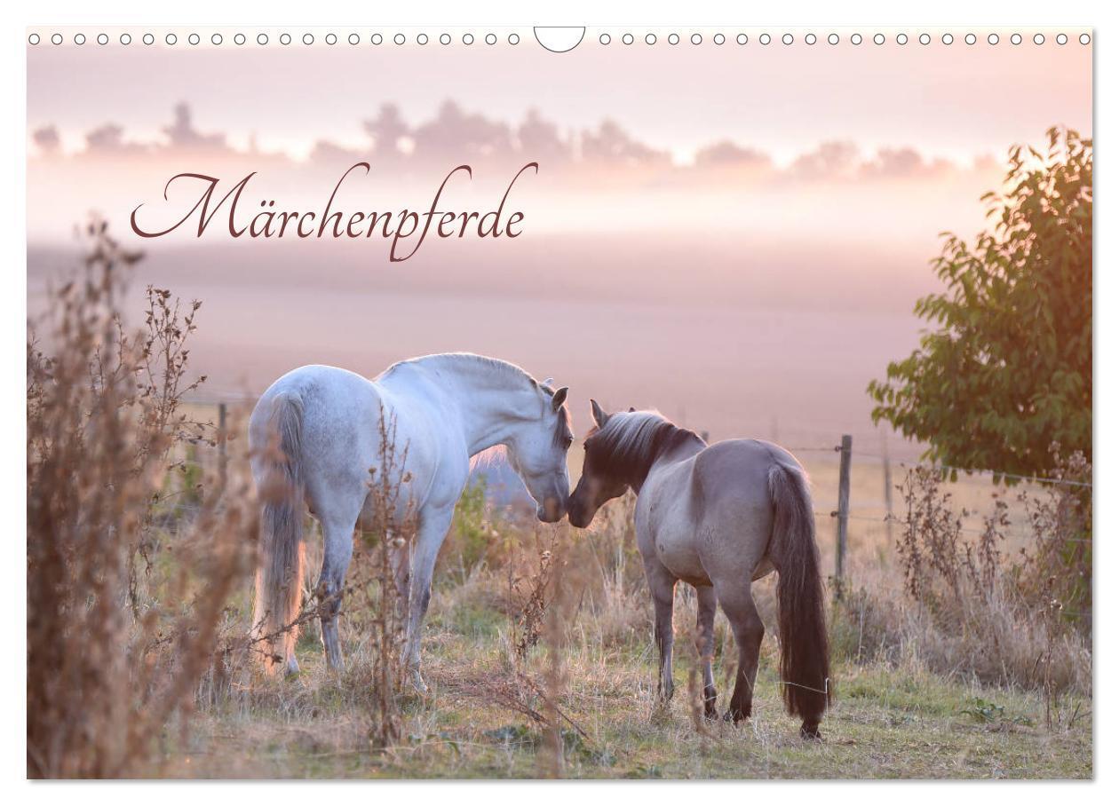 Cover: 9783435419951 | Märchenpferde (Wandkalender 2025 DIN A3 quer), CALVENDO Monatskalender