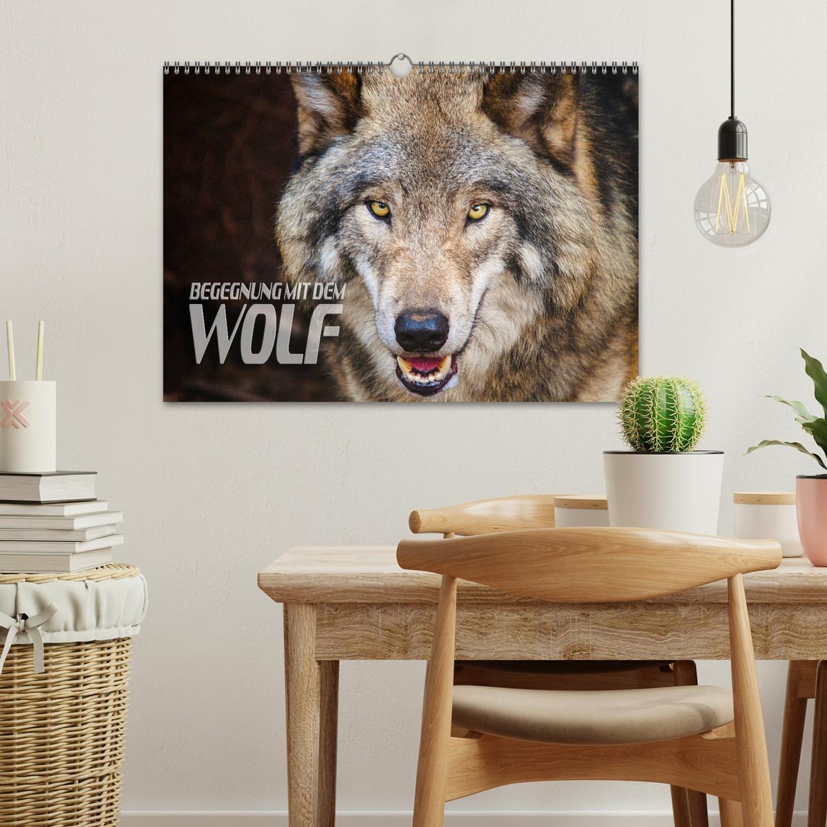 Bild: 9783435263714 | Begegnung mit dem Wolf (Wandkalender 2025 DIN A3 quer), CALVENDO...