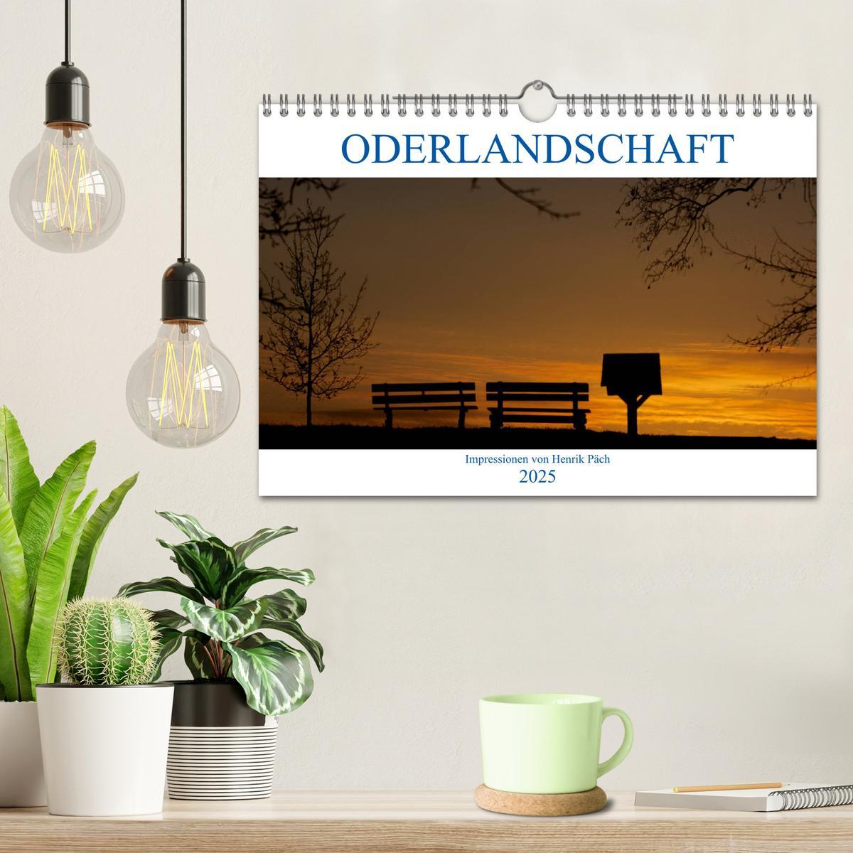 Bild: 9783435442843 | Oderlandschaft (Wandkalender 2025 DIN A4 quer), CALVENDO...