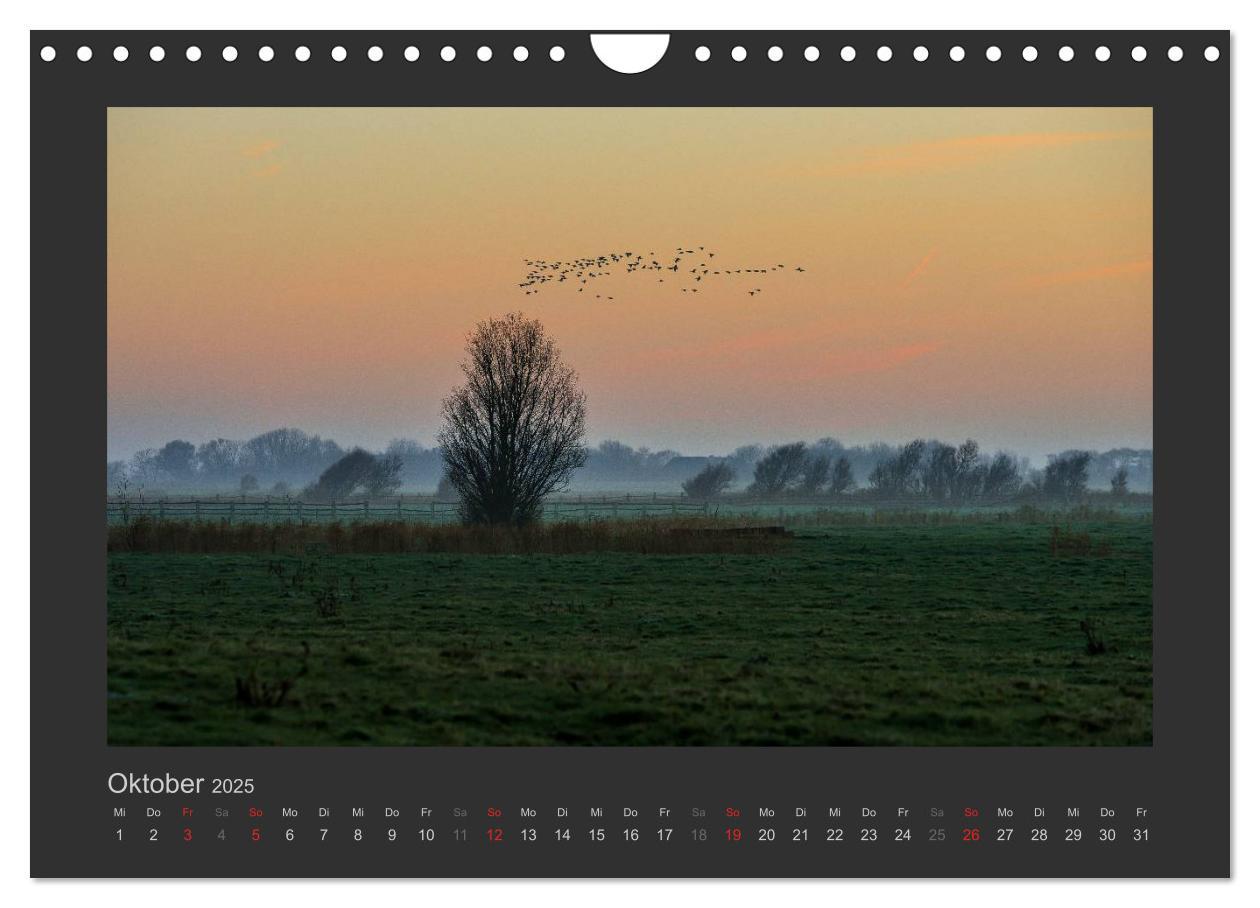 Bild: 9783435660339 | Impressionen aus St. Peter-Ording (Wandkalender 2025 DIN A4 quer),...