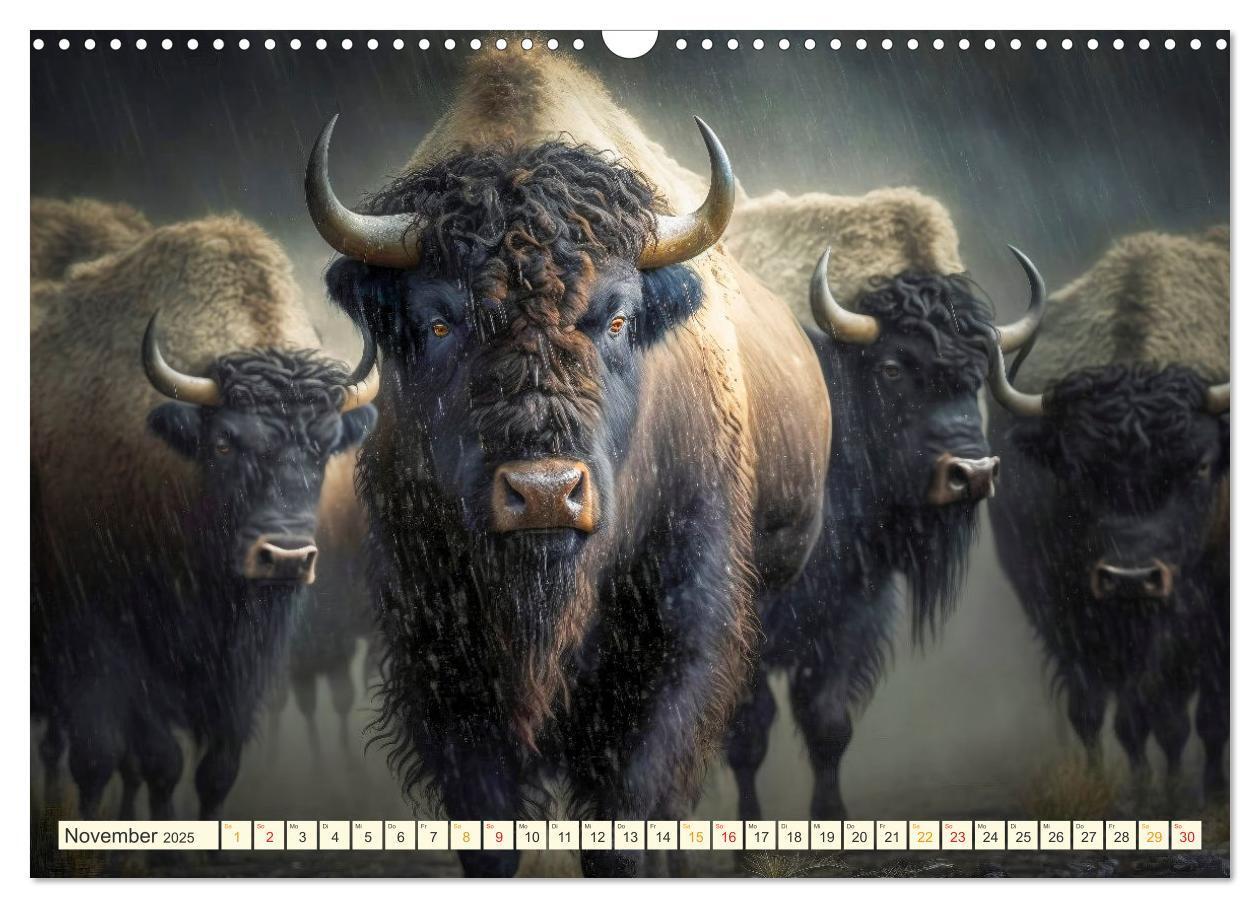 Bild: 9783383911859 | Amerikanischer Bison (Wandkalender 2025 DIN A3 quer), CALVENDO...