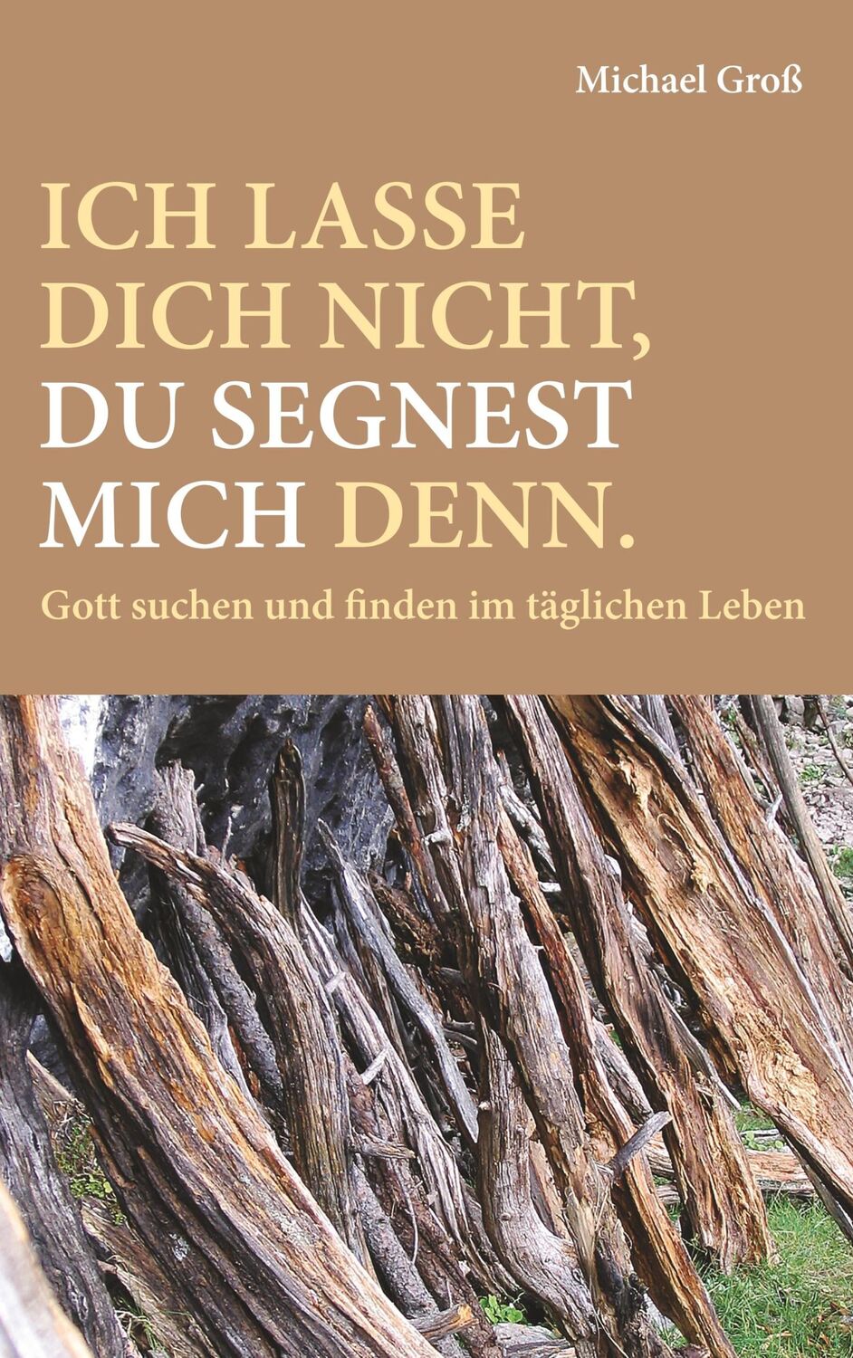 Cover: 9783740752897 | Ich lasse dich nicht, du segnest mich denn. | Michael Groß | Buch