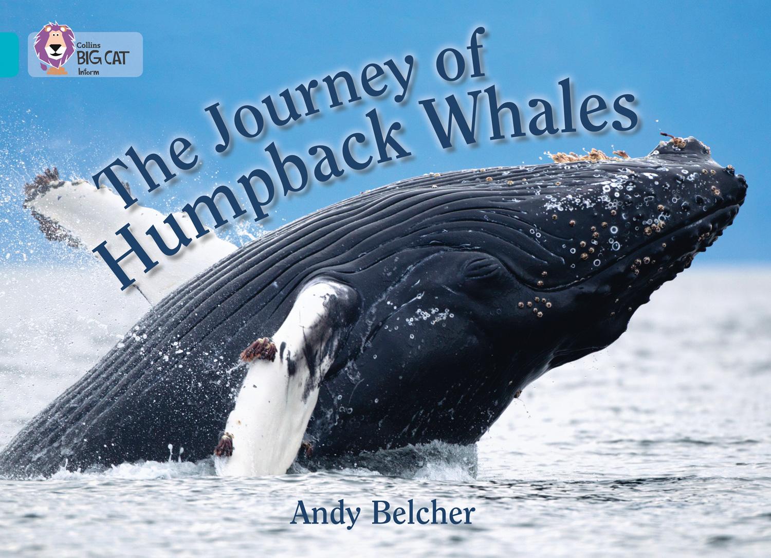 Cover: 9780007461820 | The Journey of Humpback Whales | Band 07/Turquoise | Andy Belcher