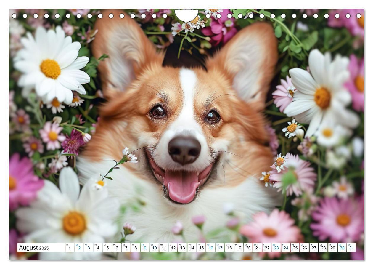 Bild: 9783383776069 | Happy Corgis (Wandkalender 2025 DIN A4 quer), CALVENDO Monatskalender