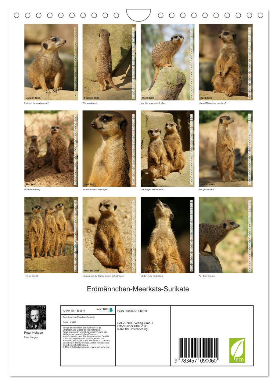 Bild: 9783457090060 | Erdmännchen-Meerkats-Surikate (Wandkalender 2025 DIN A4 hoch),...