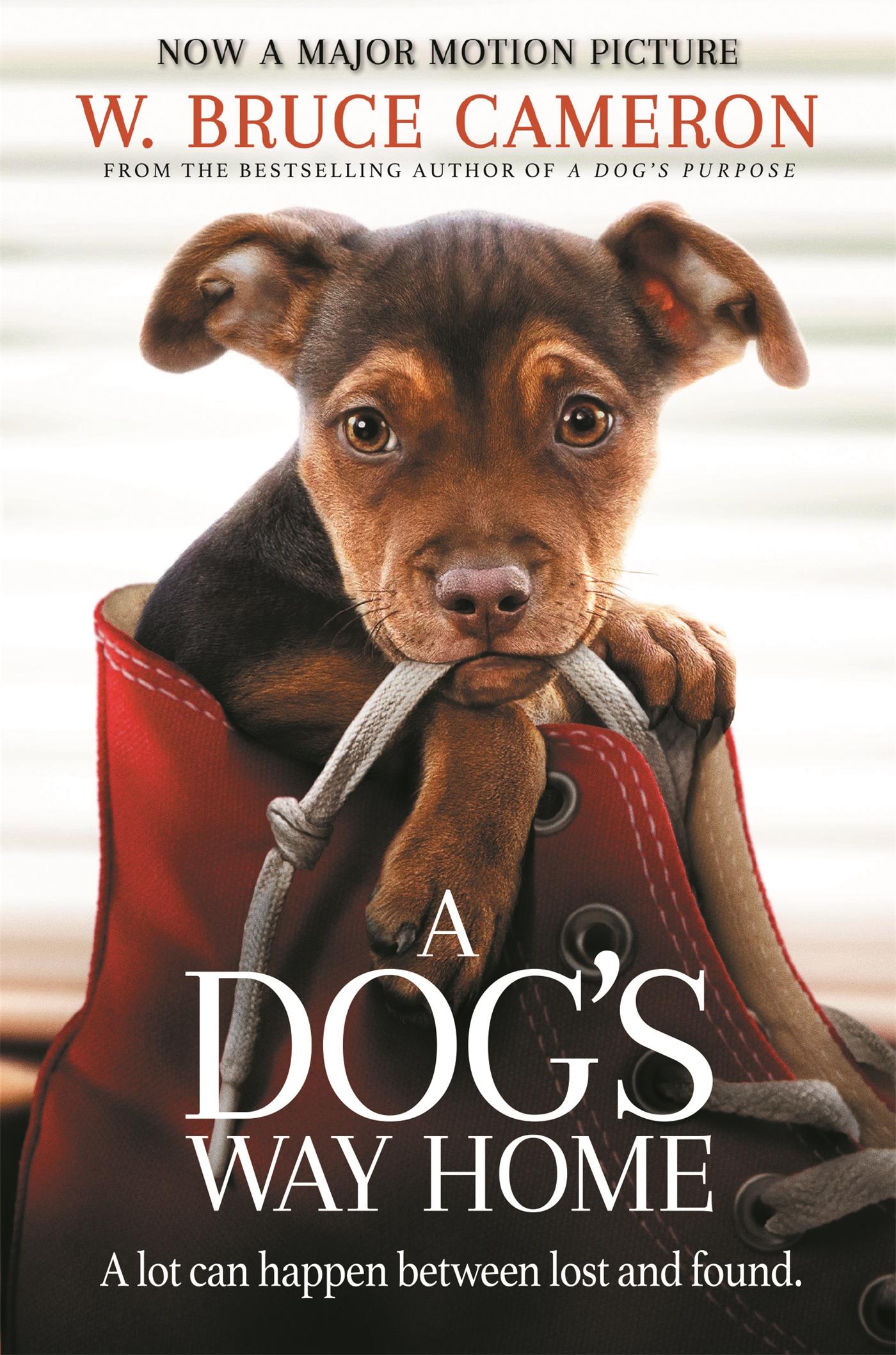 Cover: 9781529002690 | A Dog's Way Home | W. Bruce Cameron | Taschenbuch | B-format paperback