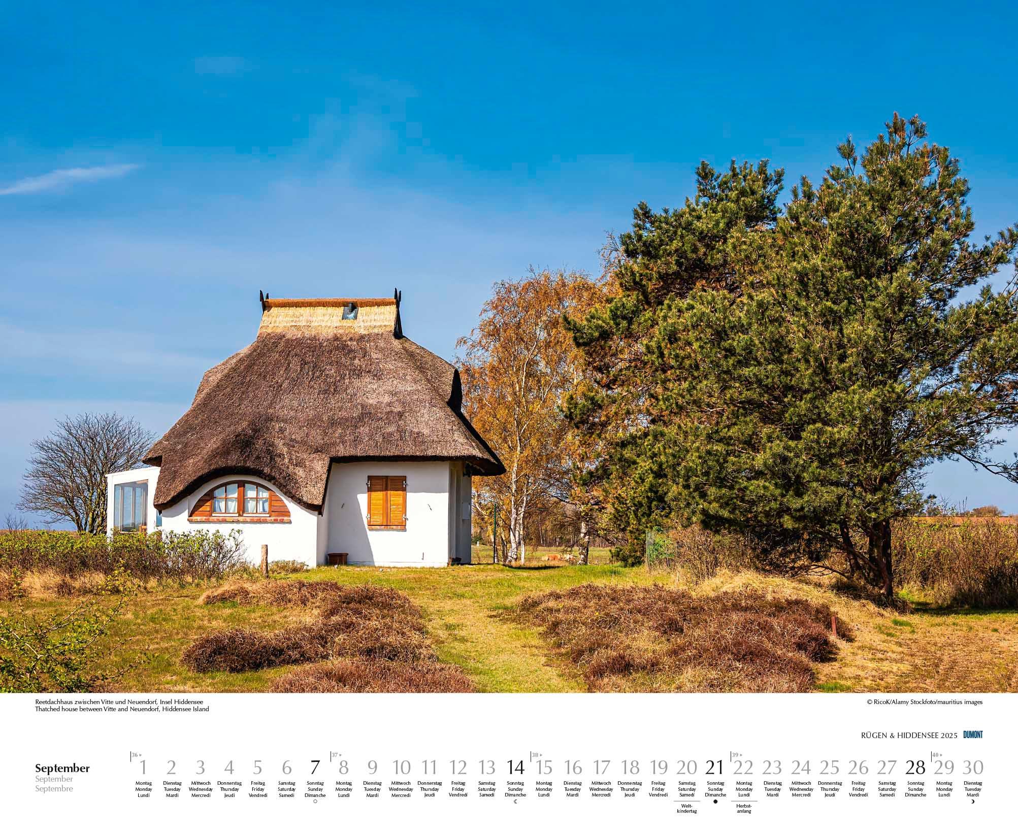 Bild: 4250809652726 | Rügen &amp; Hiddensee 2025 - Wandkalender 52 x 42,5 cm - Spiralbindung