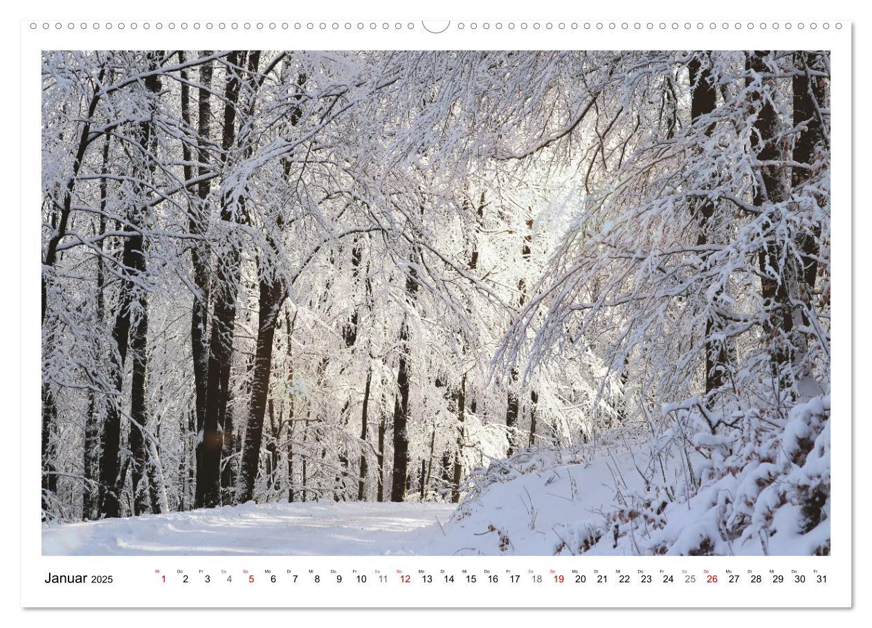 Bild: 9783435079957 | Mein Sehnsuchtsort, der heimische Wald (Wandkalender 2025 DIN A2...