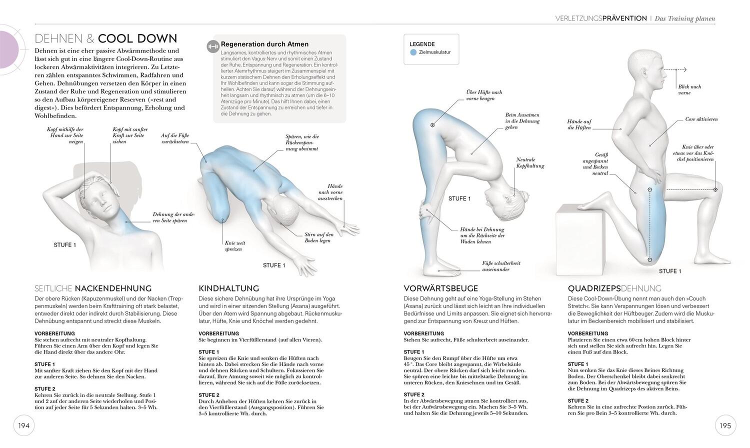 Bild: 9783831042760 | Krafttraining - Die Anatomie verstehen | Austin Current | Taschenbuch