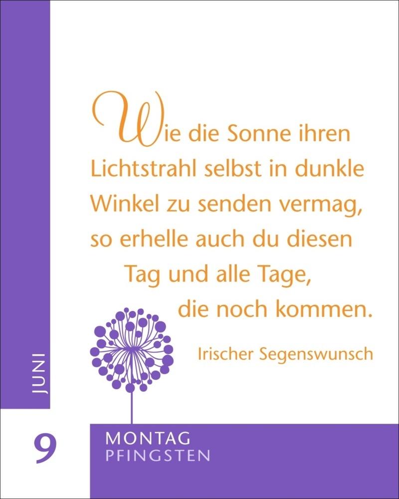 Bild: 9783840034350 | 365 Wünsche für dich Mini-Geschenkkalender 2025 | Cornelia Sonnleitner