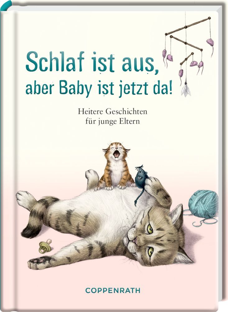 Cover: 9783649644798 | Schlaf ist aus, aber Baby ist jetzt da | Heitere Geschichten | Zeise