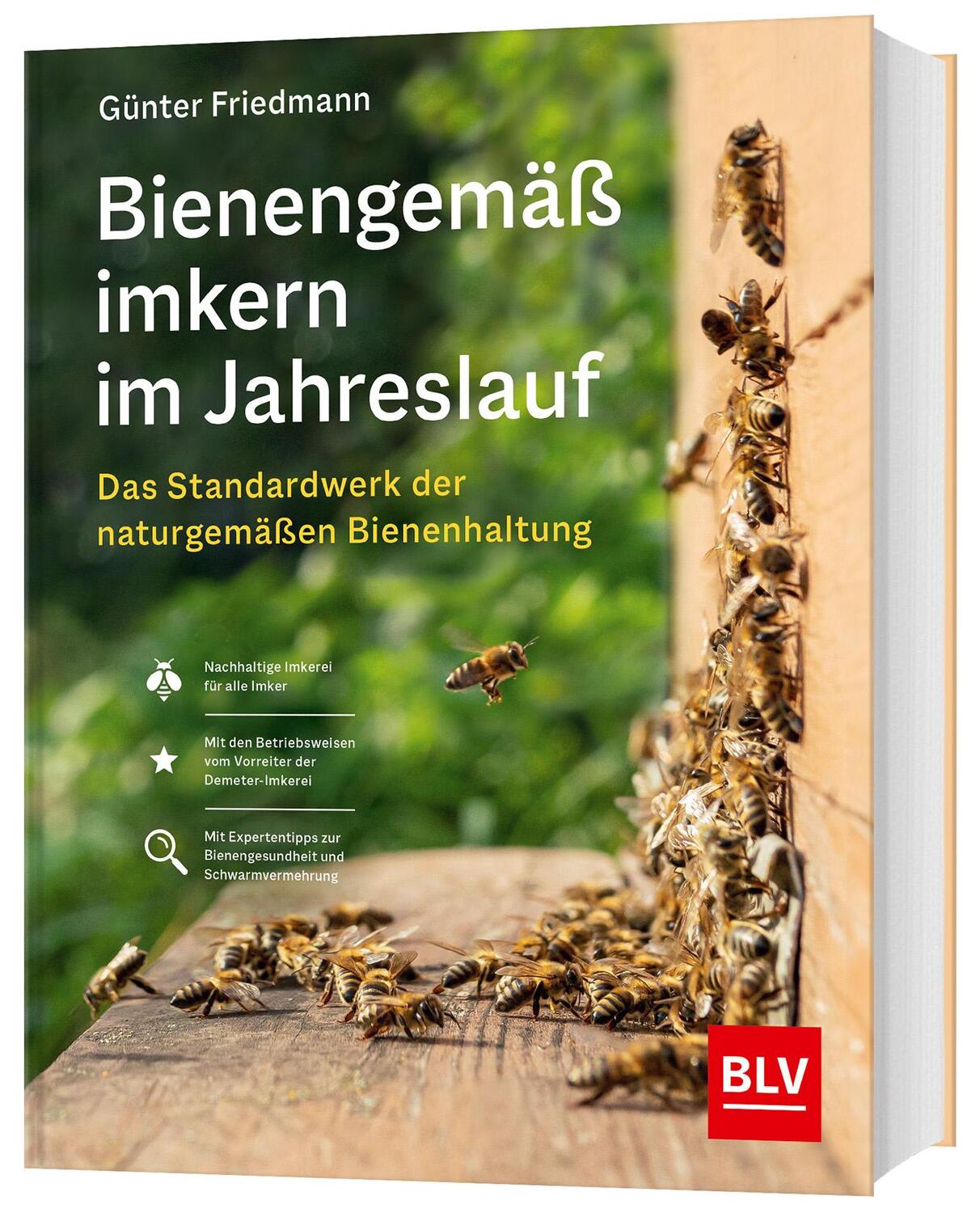 Cover: 9783967470451 | Bienengemäß imkern im Jahreslauf | Günter Friedmann | Buch | 336 S.