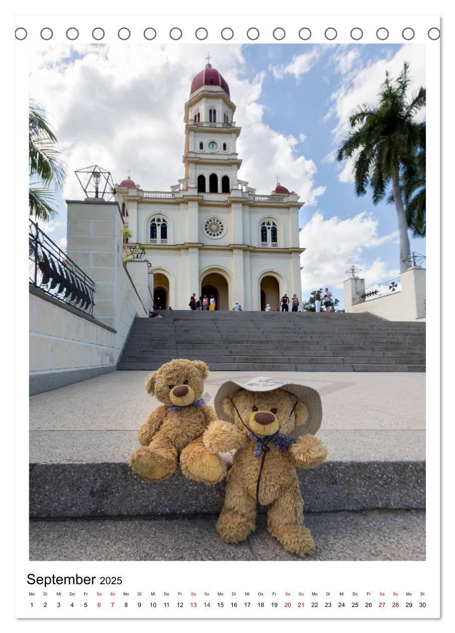 Bild: 9783435984435 | Travelling Teddy Kuba Edition 2025 (Tischkalender 2025 DIN A5...