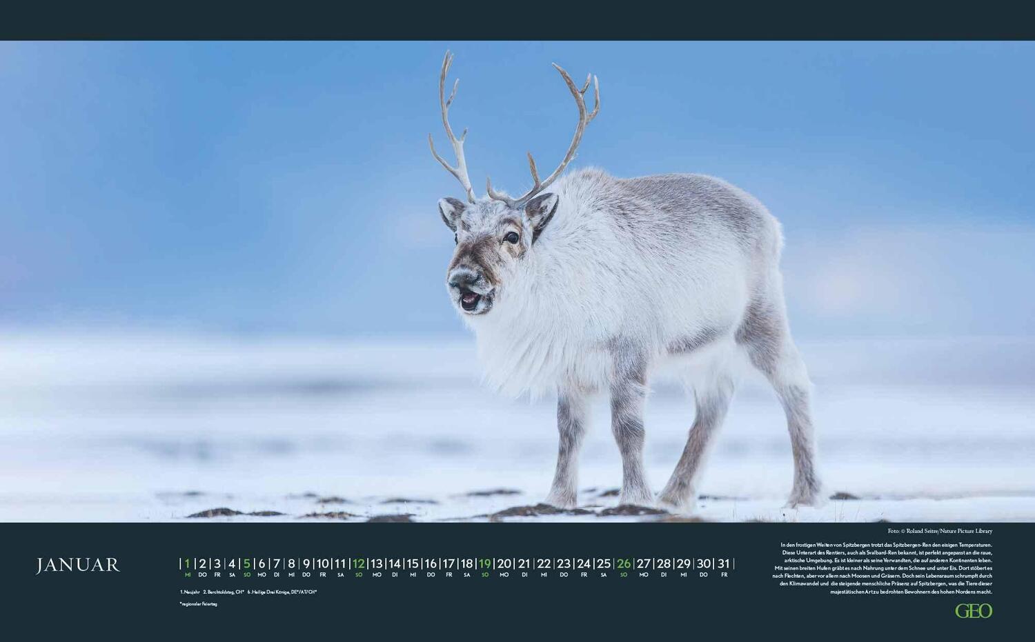 Bild: 4002725988645 | GEO Bedrohte Tierwelt 2025 - Wand-Kalender - Tier-Kalender -...