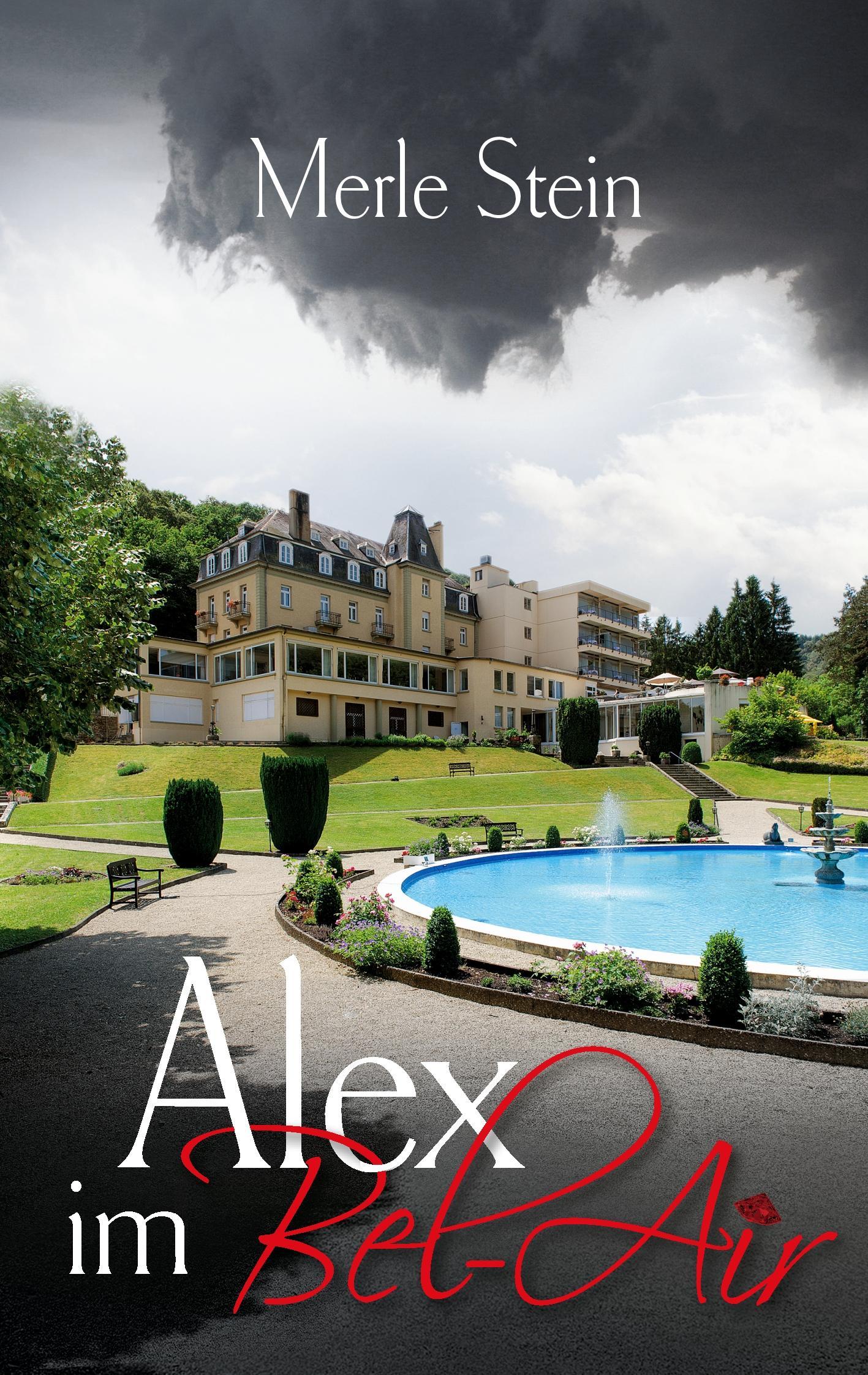 Cover: 9783738662870 | Alex im Bel-Air | Merle Stein | Taschenbuch | Paperback | 132 S.