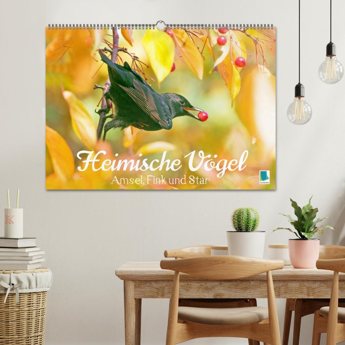 Bild: 9783383874826 | Amsel, Fink und Star: Heimische Vögel (Wandkalender 2025 DIN A2...