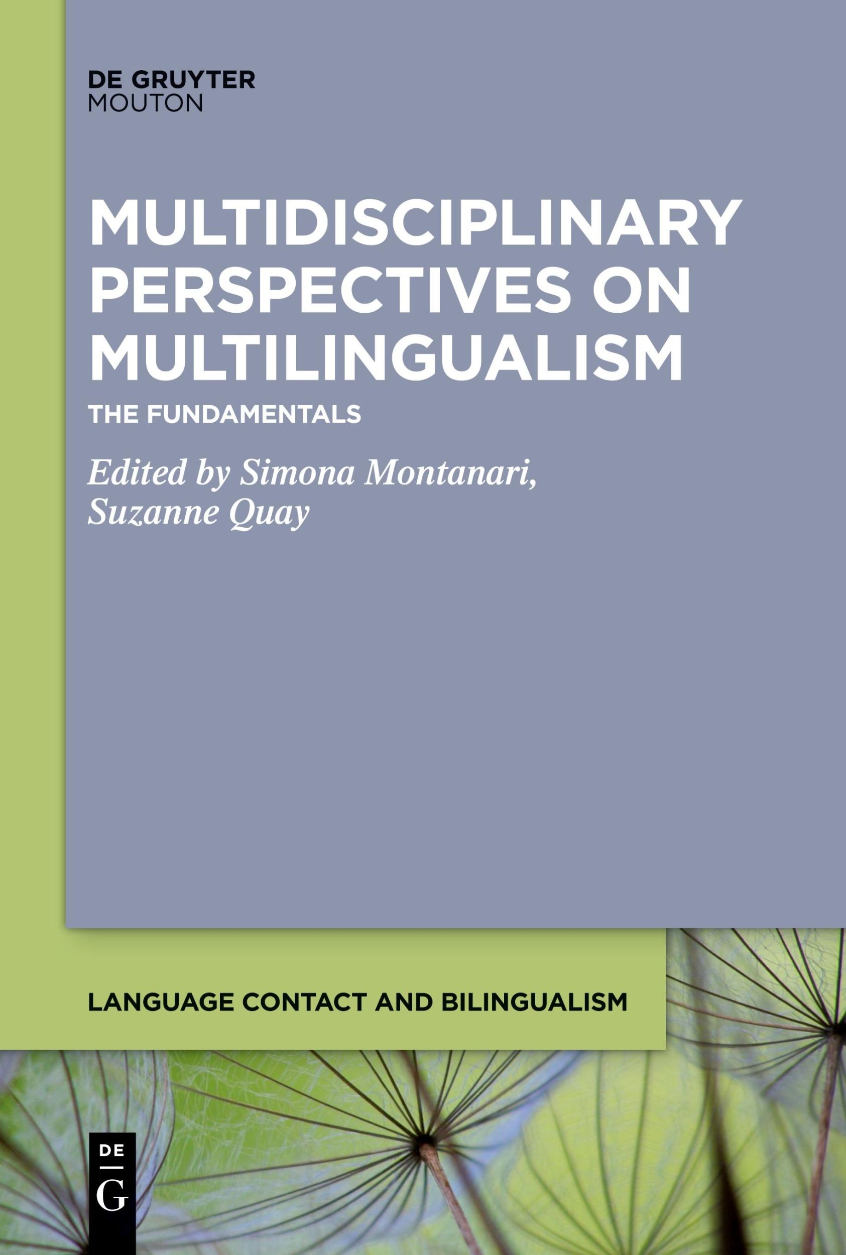 Cover: 9781501525384 | Multidisciplinary Perspectives on Multilingualism | The Fundamentals