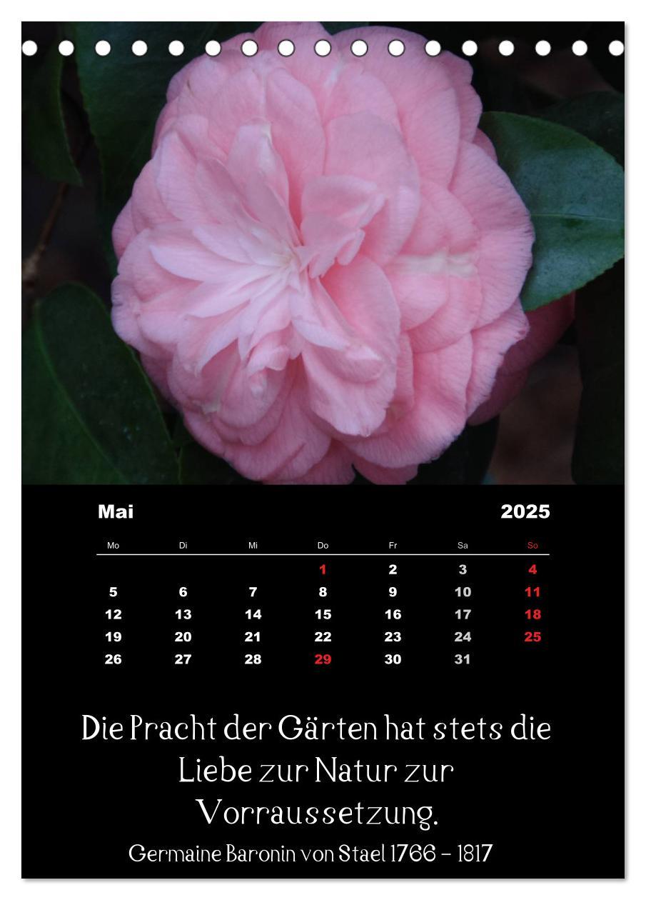 Bild: 9783457085660 | Sprüche und Zitate berühmter Personen über Blumen und Natur...