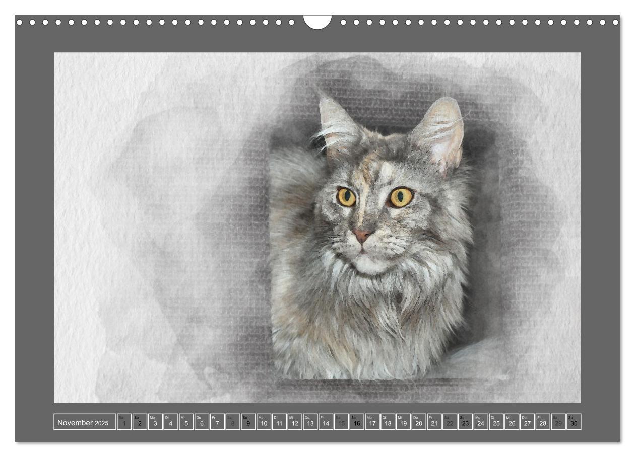 Bild: 9783435024186 | Maine Coon Aquarelle (Wandkalender 2025 DIN A3 quer), CALVENDO...