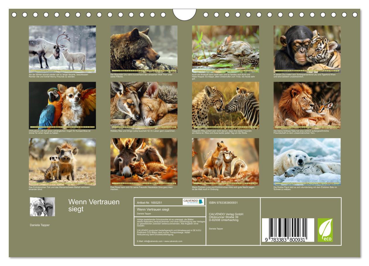 Bild: 9783383800931 | Wenn Vertrauen siegt (Wandkalender 2025 DIN A4 quer), CALVENDO...