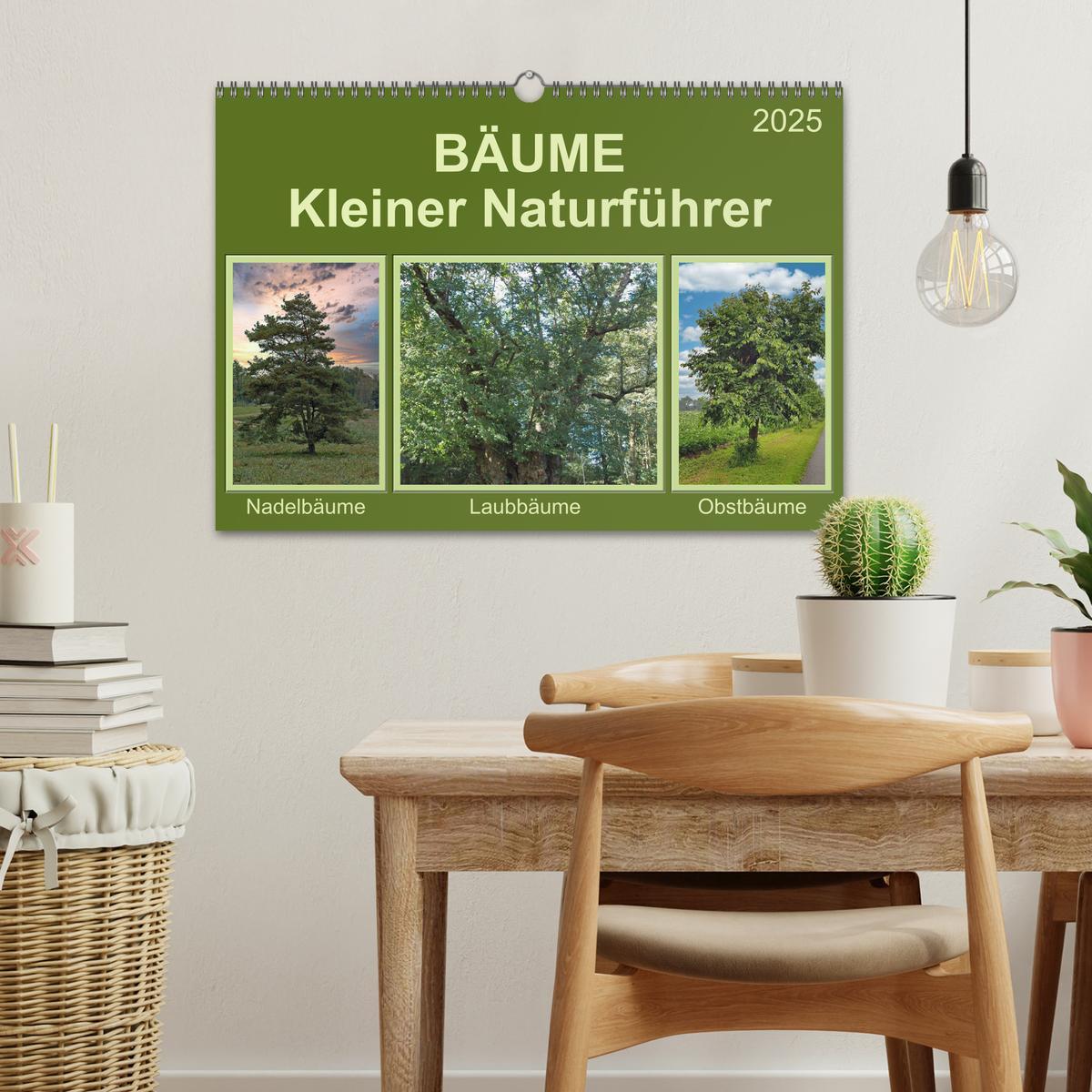 Bild: 9783435122011 | Bäume Kleiner Naturführer (Wandkalender 2025 DIN A3 quer), CALVENDO...