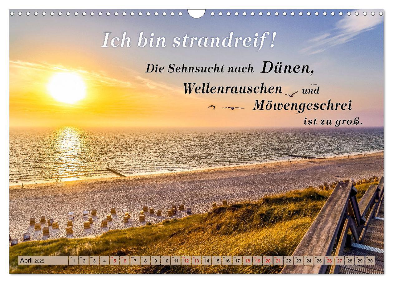 Bild: 9783435053421 | Sehnsucht zum Meer (Wandkalender 2025 DIN A3 quer), CALVENDO...