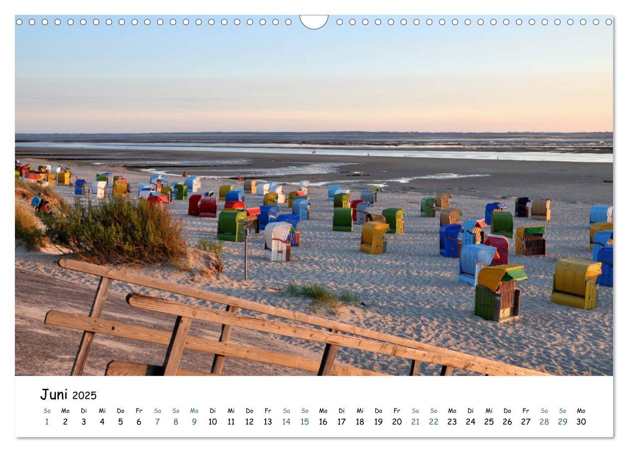 Bild: 9783435757671 | Föhr und Halligwelt 2025 (Wandkalender 2025 DIN A3 quer), CALVENDO...