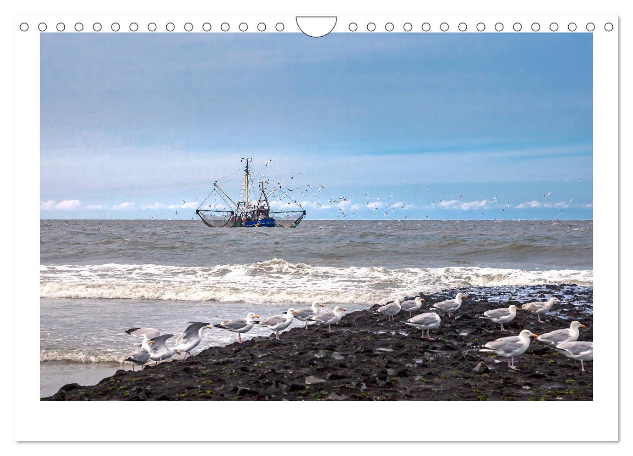 Bild: 9783435493050 | Norderney. Meine ostfriesische Insel (Wandkalender 2025 DIN A4...