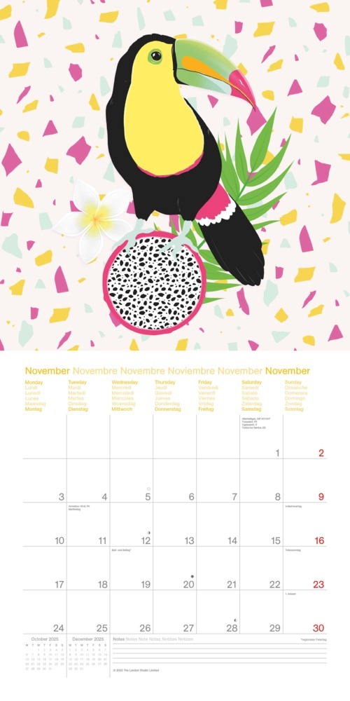 Bild: 4002725994950 | N NEUMANNVERLAGE - Sweet &amp; Wild 2025 Broschürenkalender, 30x30cm,...