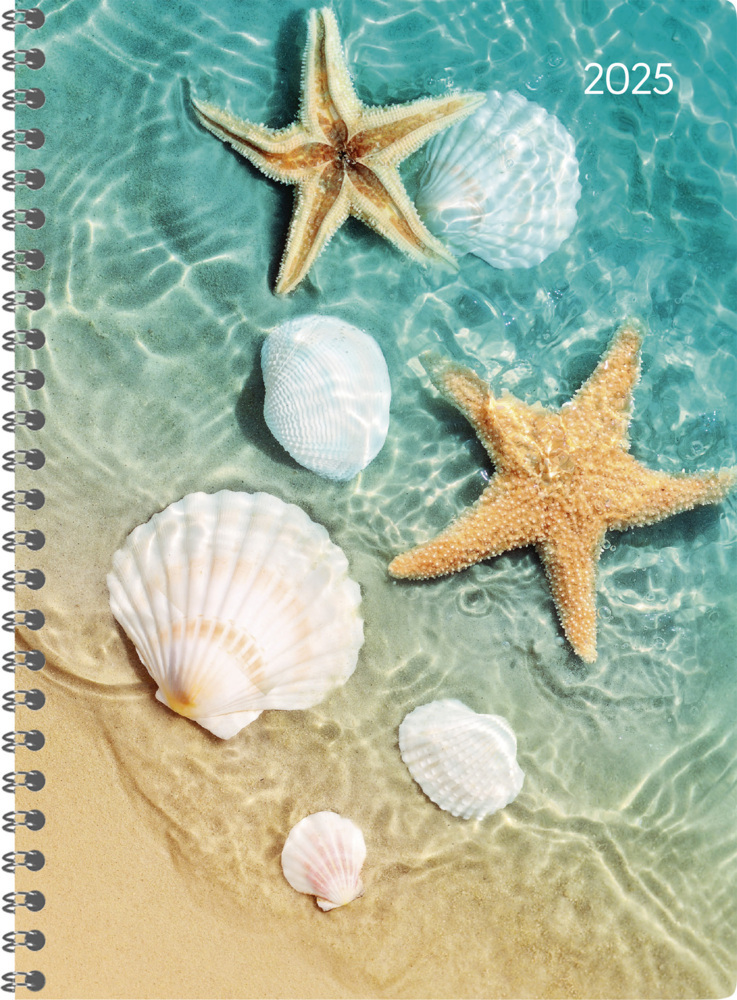 Cover: 4251732342449 | Alpha Edition - Ladytimer Ringbuch Beach 2025, 15x21cm, Kalender...