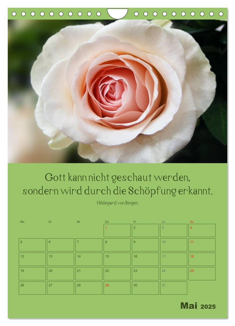 Bild: 9783457060032 | Erkenntnis und Weisheit - Hildegard von Bingen (Wandkalender 2025...