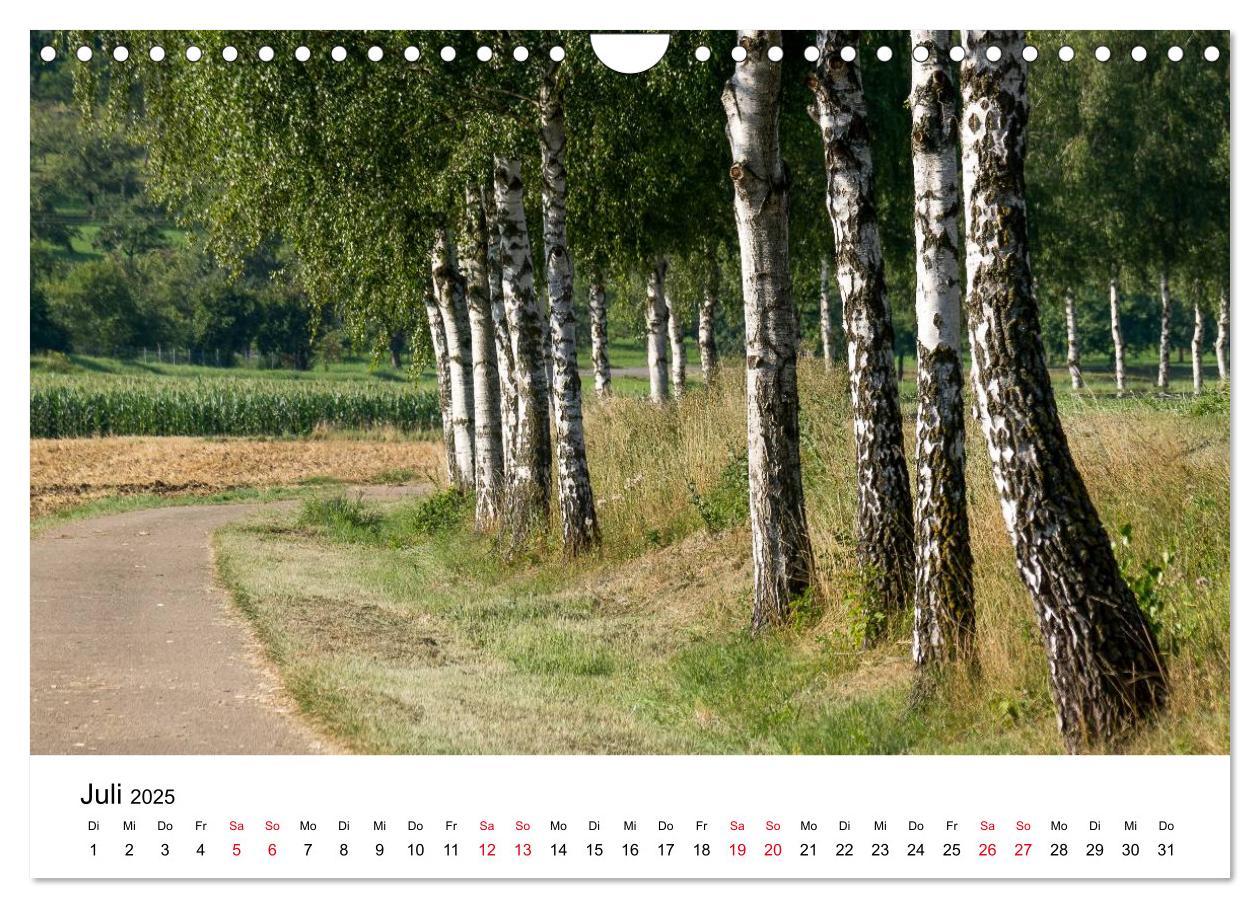 Bild: 9783435465026 | Wege in der Natur - Kraichgau und Enzkreis (Wandkalender 2025 DIN...