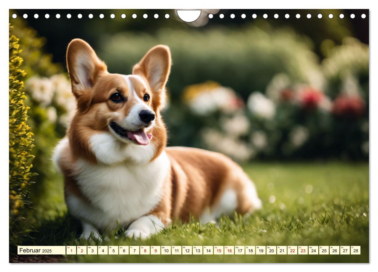 Bild: 9783435241026 | Welsh Corgi Pembroke (Wandkalender 2025 DIN A4 quer), CALVENDO...