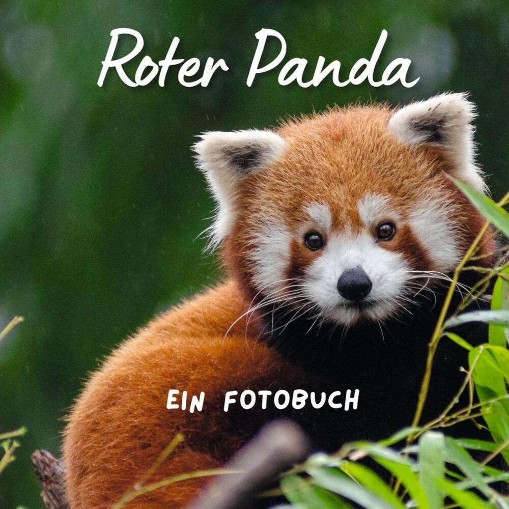 Cover: 9783750518063 | Roter Panda | Ein Fotobuch | Bibi Hübsch | Taschenbuch | 42 S. | 2022