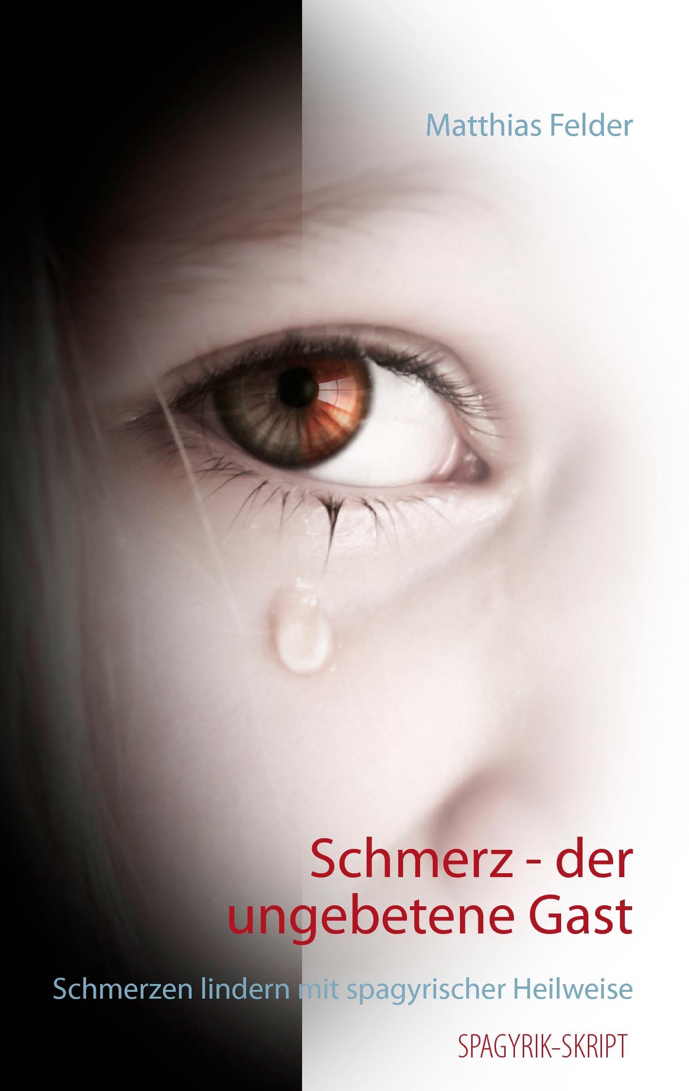 Cover: 9783738607802 | Schmerz - der ungebetene Gast | Matthias Felder | Taschenbuch | 112 S.