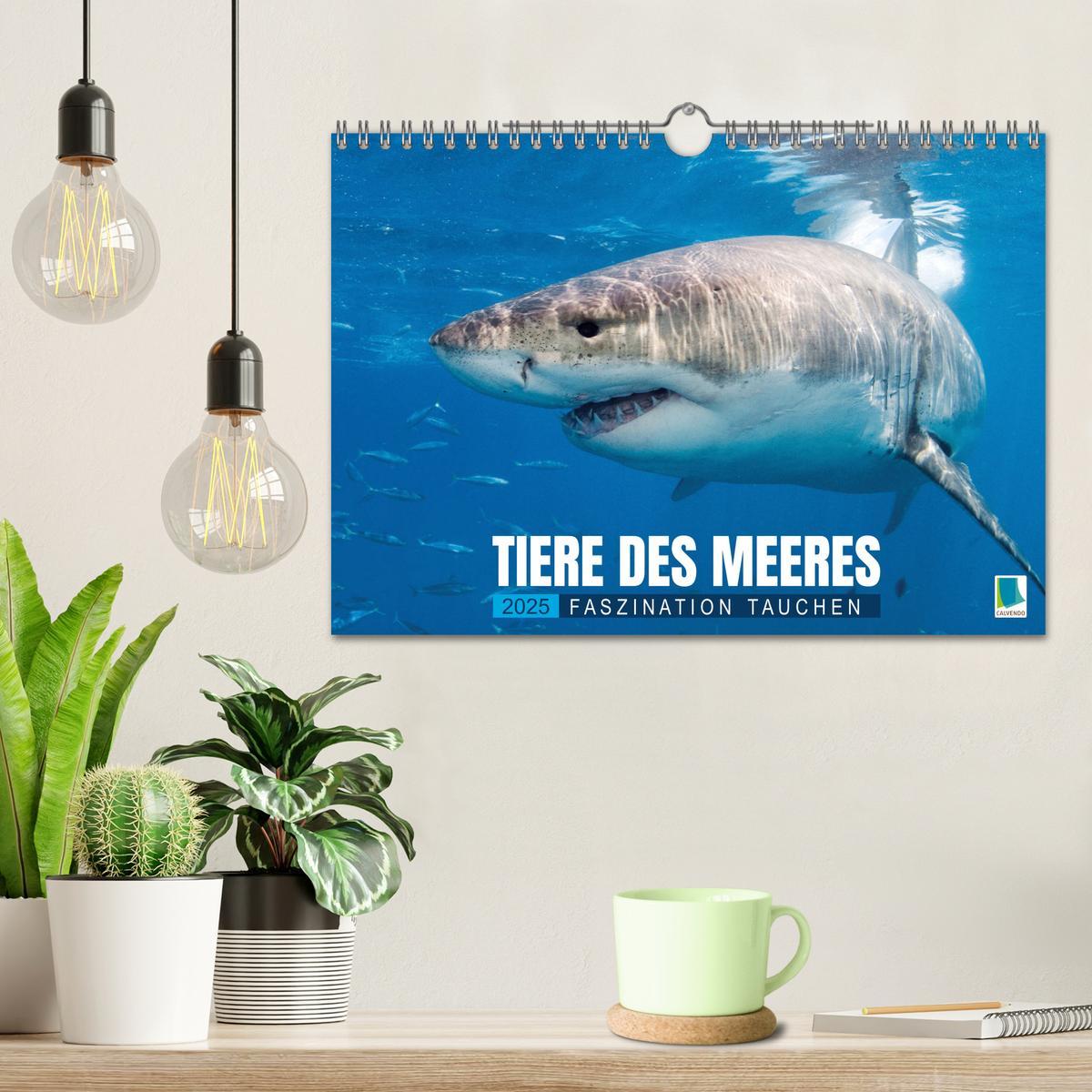 Bild: 9783457182970 | Tiere des Meeres: Faszination Tauchen (Wandkalender 2025 DIN A4...