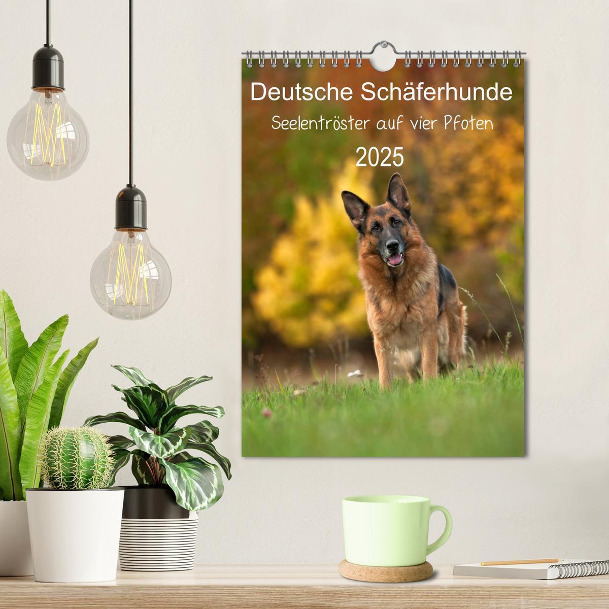 Bild: 9783457026731 | Deutsche Schäferhunde - Seelentröster auf vier Pfoten (Wandkalender...