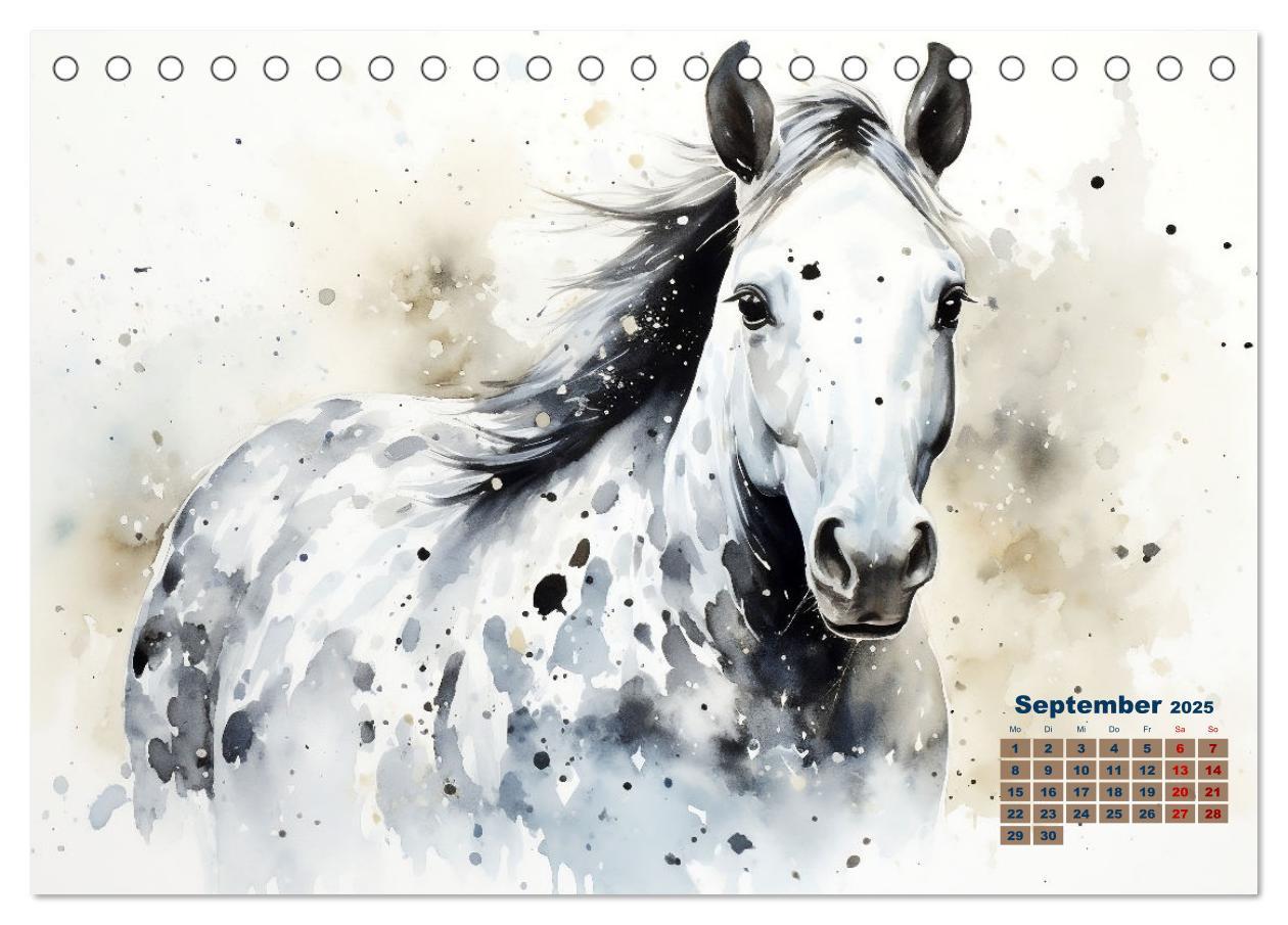 Bild: 9783435012961 | Kraftpakete in Aquarell (Tischkalender 2025 DIN A5 quer), CALVENDO...