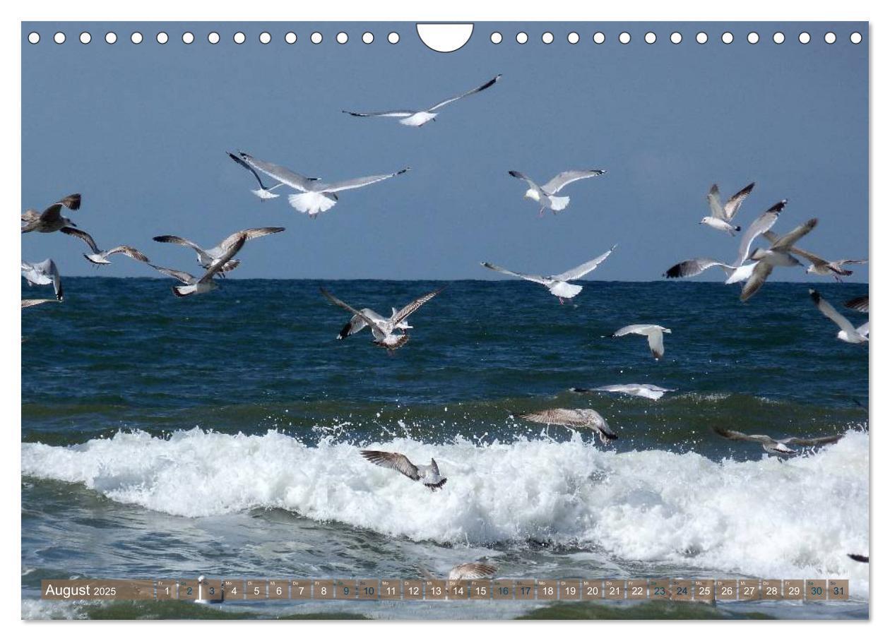 Bild: 9783435763597 | Strandwanderungen auf Texel (Wandkalender 2025 DIN A4 quer),...