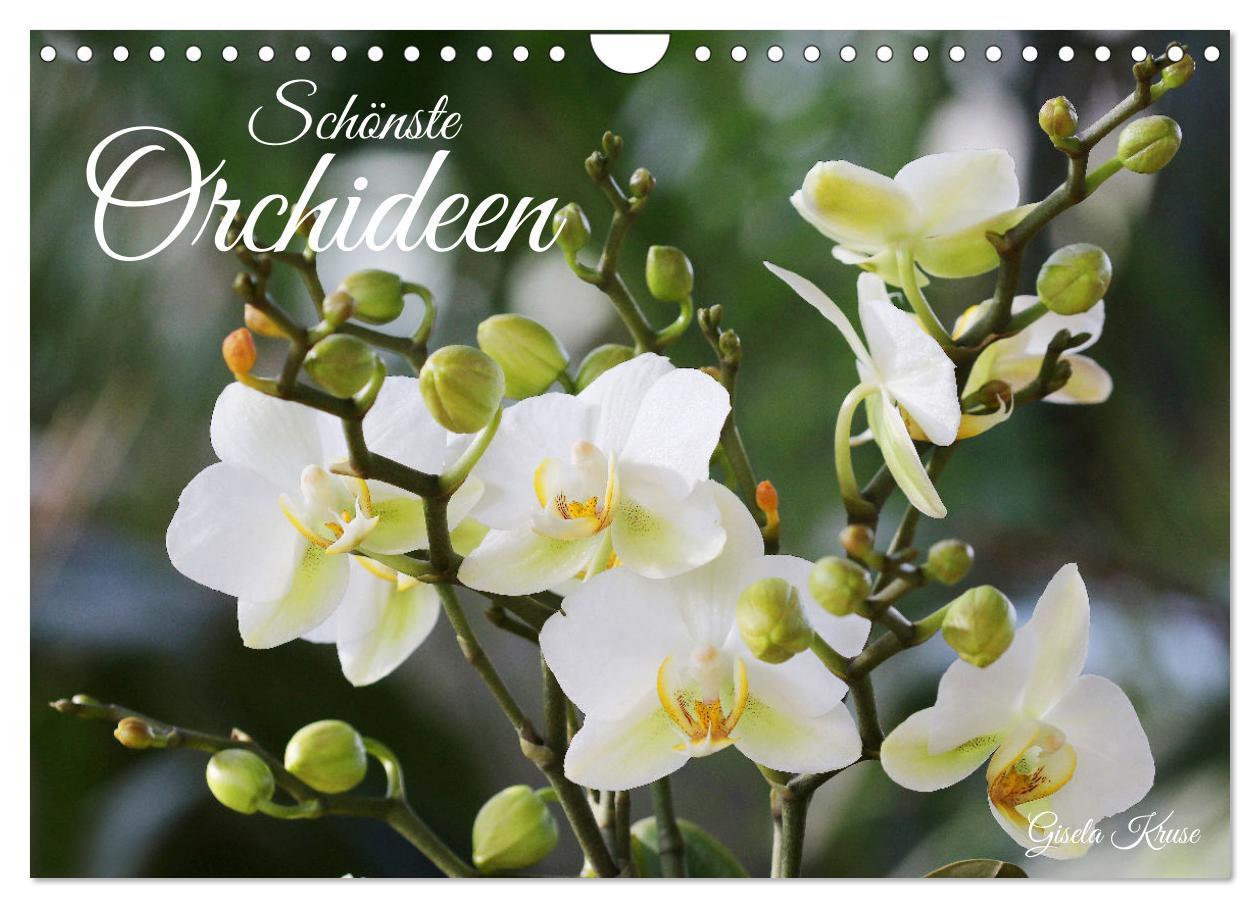 Cover: 9783383915901 | Schönste Orchideen (Wandkalender 2025 DIN A4 quer), CALVENDO...